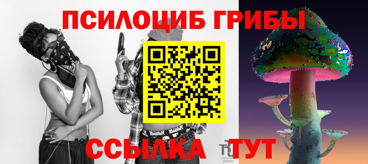 Междуреченск  Галлюциногенные грибы Magic Shrooms  Вход с VPN 